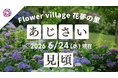 【広島／世羅】あじさいが見ごろです　あじさいとタチアオイの丘《Flower village 花夢の里》