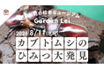 【広島／世羅】サイエンスカフェ in Garden Lei　カブトムシのひみつ大発見！カブトムシについて楽しく学ぼう　参加者にはカブトムシをプレゼント《森と花の絵本ミュージアムGarden Lei》