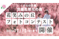 【広島／世羅】新フォトコンテスト開催　ミューレンベルギアが咲く「花笑みの丘」《そらの花畑　世羅高原花の森》