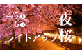 【広島/世羅】期間限定!桜のライトアップを開催します《世羅高原農場さくら祭り》