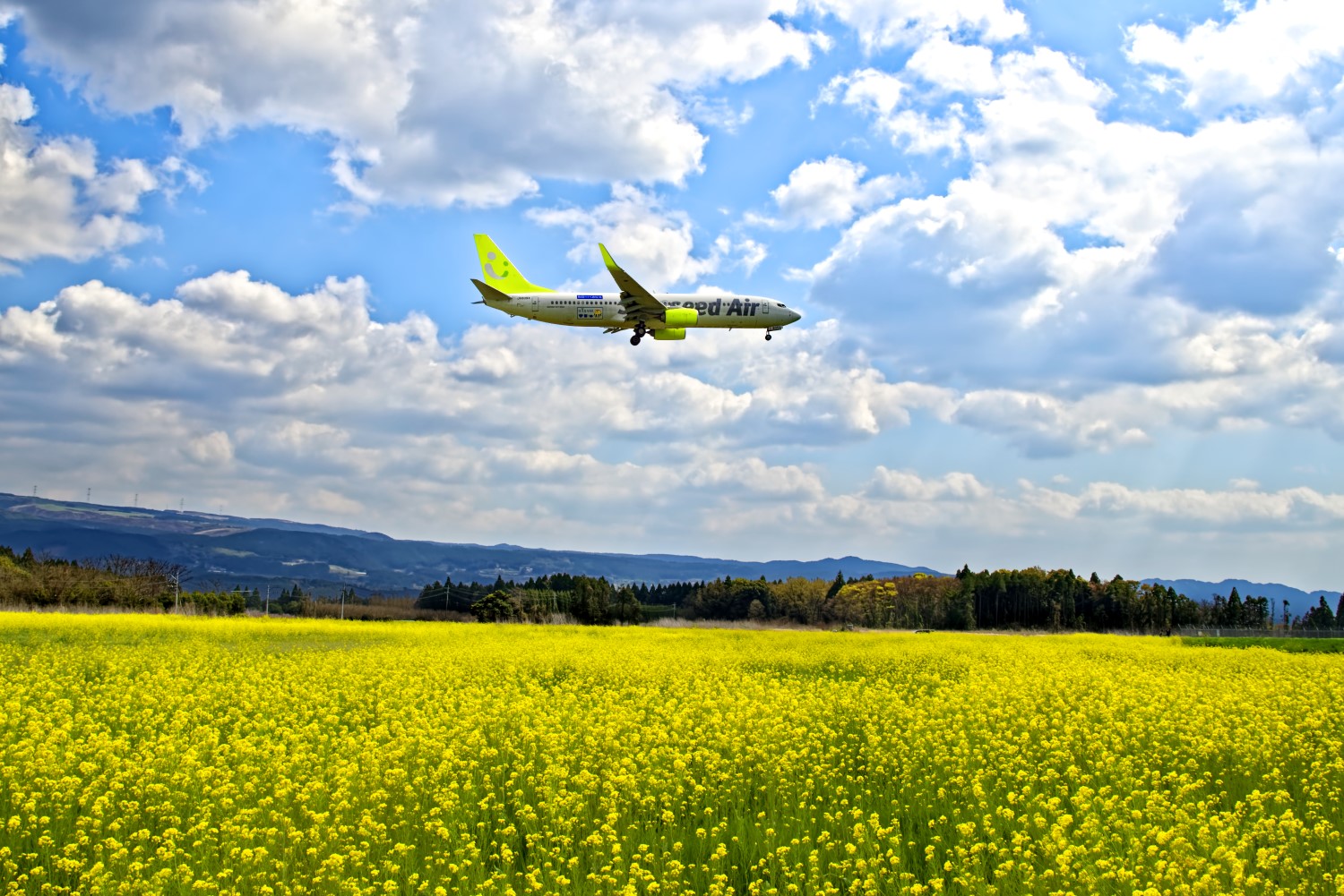 ソラシドエア　フォトコンテスト 2019　入賞作品発表『2020年ソラシドエア カレンダー』販売開始!!