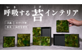 水やり不要の天然苔インテリア「KOKE」第三弾が登場。KOKE TILEとBLANK TILEで“余白までデザインする”新しい楽しみ方を提案