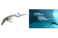道内10箇所のミュージアムから北海道の海の化石が大集合!特別企画展「はっけん!恐竜・化石大陸ほっかいどう 海の化石ミュージアム」を開催