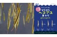 11月11日は「ヘコアユの日」!逆立ちで泳ぐ “ヘコアユ”の11個のイベントが今年も登場!「ひらひら“ヘコアユ”まつり2024」を 11 ⽇間開催