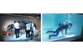 札幌の新しい年末年始の風物詩が登場!都市型水族館『AOAO SAPPORO』の2つの大掃除 一般公開へ