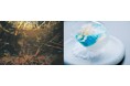AOAO SAPPORO開業2周年イベント 第1弾!生態系から自然の美しさを感じる特別企画展「LIFE to LIFE〜小さないのちから、あなたの暮らしへ〜」を開催