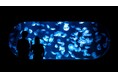“恋人の聖地*1”の水族館AOAO SAPPOROで、新たな出会い!最新技術を活かした 2 種類の街コン「真夏の“ときめき”水族館」を開催