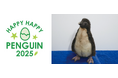 AOAO SAPPOROのメイン展示、”ホップする”ペンギンが開業以来、初の繁殖!「キタイワトビペンギン」の雛が 2 羽生まれました