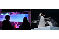 ペンギンたちが愛を伝え合う、ハートがあふれる「冬の、愛のすいぞくかん」はいよいよハイライト！バレンタイン・ホワイトデーにぴったりな特別チケット「スイートペアチケット」が新登場