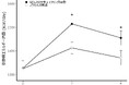 短鎖脂肪酸を多く生み出すビフィズス菌Bifidobacterium animalis subsp. lactis GCL2505とイヌリンによる「基礎代謝量」の向上効果を確認