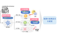 Glico独自開発の乳酸菌 Lactobacillus helveticus GCL1815株が風邪の自覚症状を抑えることを実証