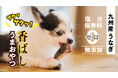 『九州産うなぎの頭使用』養鰻家がつくった犬のおやつ『うなまる』で保護犬応援へ!!7.15Makuakeにて先行発売!