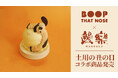BOOP THAT NOSE×鰻楽、愛犬と一緒に土用の丑の日を楽しむ限定コラボセットを発売