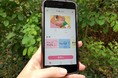 熊本県人吉市のデジタル地域通貨「きじうまコイン」に「MoneyEasy」が採用