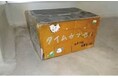 「未来へ届ける、思い出のタイムカプセルプロジェクト」始動!