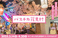 昨年2万人以上が来村した、屋台村の新しい名物企画「バスチカ花見村2025」開催決定!