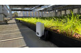 IoT潅水「AirRain® Eco」屋上緑地の潅水量を84.2％削減、戸田建設と実証