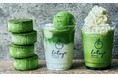 【65周年記念】横浜高島屋に最高級抹茶ラテ、抹茶アイスが登場