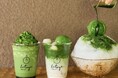 【7日間限定】八十八渋谷の“抹茶かき氷”が新宿髙島屋に初登場