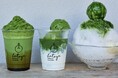 【1ヶ月限定】抹茶専門店の“かき氷”が横浜髙島屋に初登場