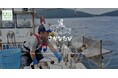 高校生・大学生向け 海の体験と未来づくりツアー 「さかなたび」夏の三陸ツアー（岩手）2026開催決定！参加者募集開始