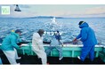 高校生・大学生向け 海の体験と未来づくりツアー 「さかなたび」秋の北陸ツアー（富山）2026開催決定！参加者募集開始