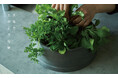 工場の廃棄物を活用した、植物の成長を促進する植木鉢で循環型社会に貢献