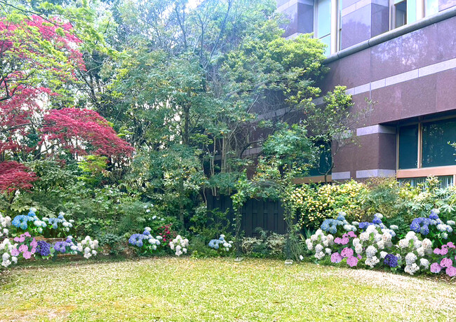 石原和幸氏による庭園のデザインパース