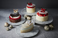 【W大阪】クリスマスケーキ2024 10月16日(水)より予約販売開始