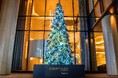 【コートヤード・バイ・マリオット札幌】高さ5mのクリスマスツリーを屋外に設置。開業後初のクリスマス ”Courtyard Sapporo Christmas 2024"を開催