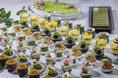 【ウェスティンホテル東京】「デザートブッフェ - MATCHA SYMPHONY～抹茶の香りに包まれて、野点の優雅な饗宴～ 」京都・宇治や愛知・西尾など上質な抹茶を使用した初夏のデザート約20種類
