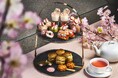 「アロフト大阪堂島」 桜 アフタヌーンティー「桜見（さくらみ）」