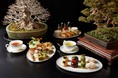 【ザ・リッツ・カールトン東京】『Bonsai Afternoon Tea ～日本の美しい盆栽をイメージしたアフタヌーンティー～』を2022年1月6日より提供開始