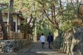 株式会社セットと慶應義塾大学SFC研究所が共同研究を開始
