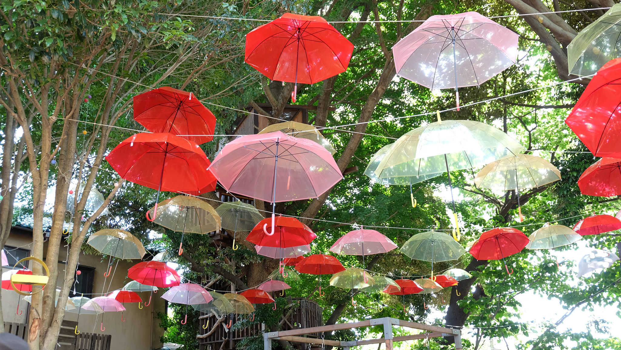 千葉市初 ツリーハウスの森カフェ 椿森コムナ が梅雨でもワクワク 200本の傘で彩る傘の森に 株式会社拓匠開発のプレスリリース