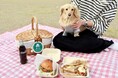 愛犬も嬉しい!ワンちゃんバーガー新登場! 「犬とわたしとピクニック」が4月26日(土)より開催