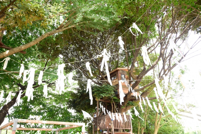 千葉市初 ツリーハウスの森カフェ 椿森コムナ テーマは 風 秋の訪れを演出する 秋風コムナ に 株式会社拓匠開発のプレスリリース