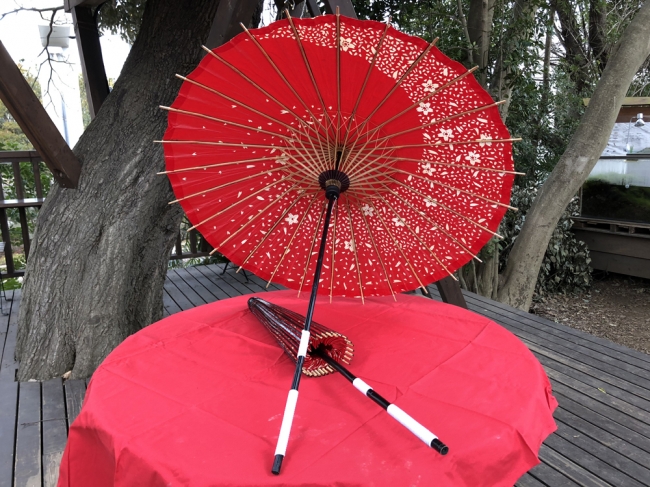 春KOMUNAイメージ2