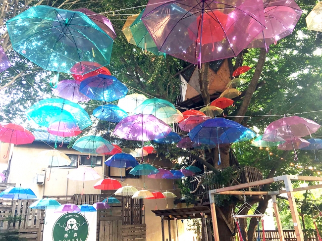 千葉市初 ツリーハウスのある森カフェ 椿森komuna 400本の虹色の傘でカラフルな森に変化 株式会社拓匠開発のプレスリリース