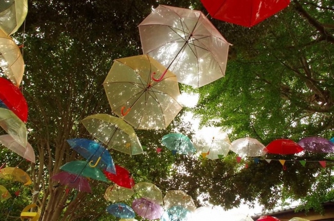 傘の森Rainbow