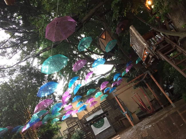 雨天時の傘の森Rainy