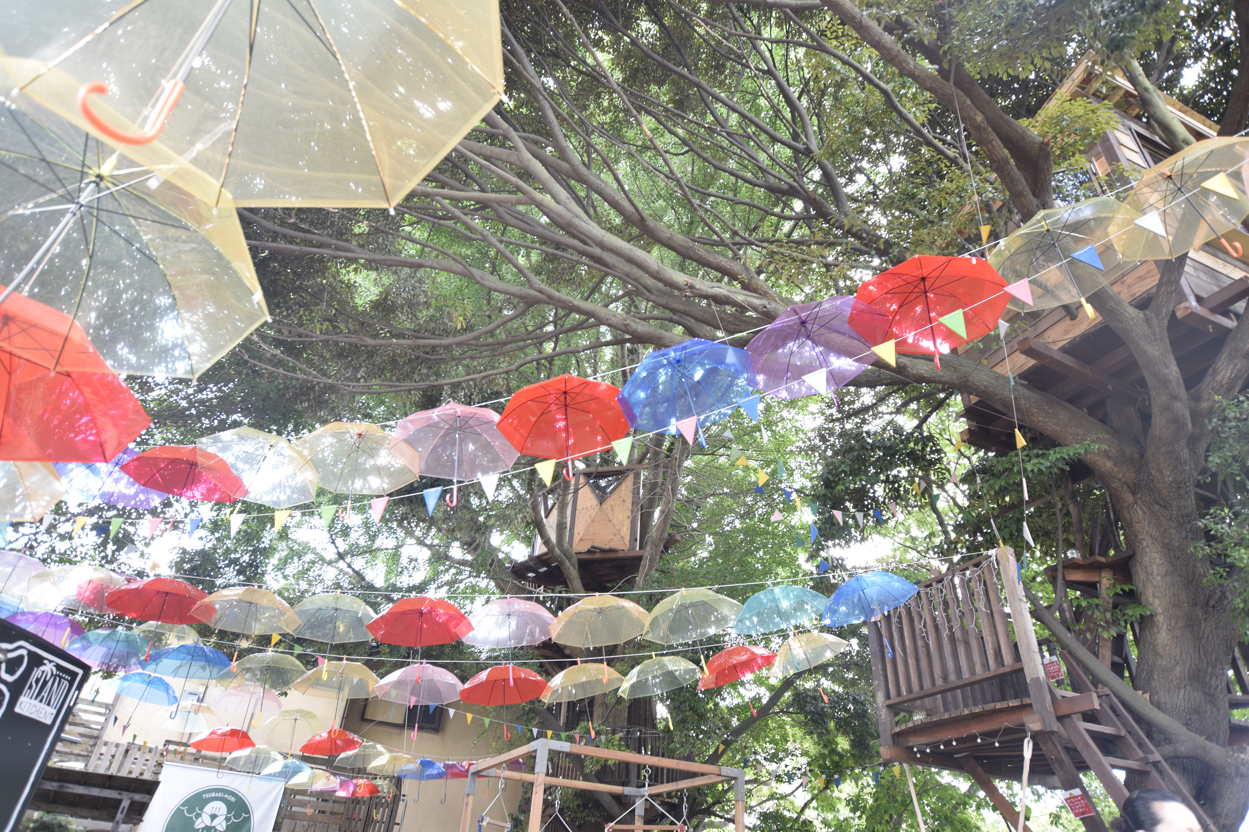 千葉市初 ツリーハウスの 椿森コムナ が100本の傘で埋め尽くされる 傘の森 に 株式会社拓匠開発のプレスリリース