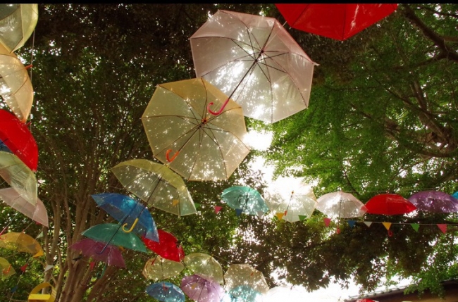 傘の森2016（参考写真2）