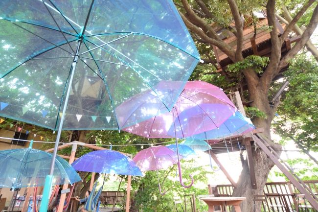 傘の森2017イメージ・サンプル写真（Rainy1）