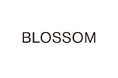 韓国発、タイムレスなデザインで女性を魅了するアパレルブランド<BLOSSOM>。日本公式オンラインストアをオープン。