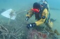世界自然遺産・知床のまち北海道羅臼町にて、豊かな海を守るためのクリーンアップダイブの参加者を募集しています