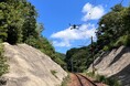 DeepForest社、神戸電鉄と線路沿いの枯死木検出に関する実証実験を実施