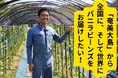 奄美産バニラビーンズを全国に、そして世界に届けたい!AMAMIバリュープロデュースがクラウドファンディングを開始しました