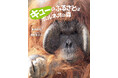 【全国40冊の夏休みの本に選ばれました。『キューのふるさとはボルネオの森』】