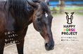 推しジョッキーの一枚が、レースを終えた馬たちの未来へ競馬ファンの「推し活」を支援へつなぐ「Happy Horse Project」始動